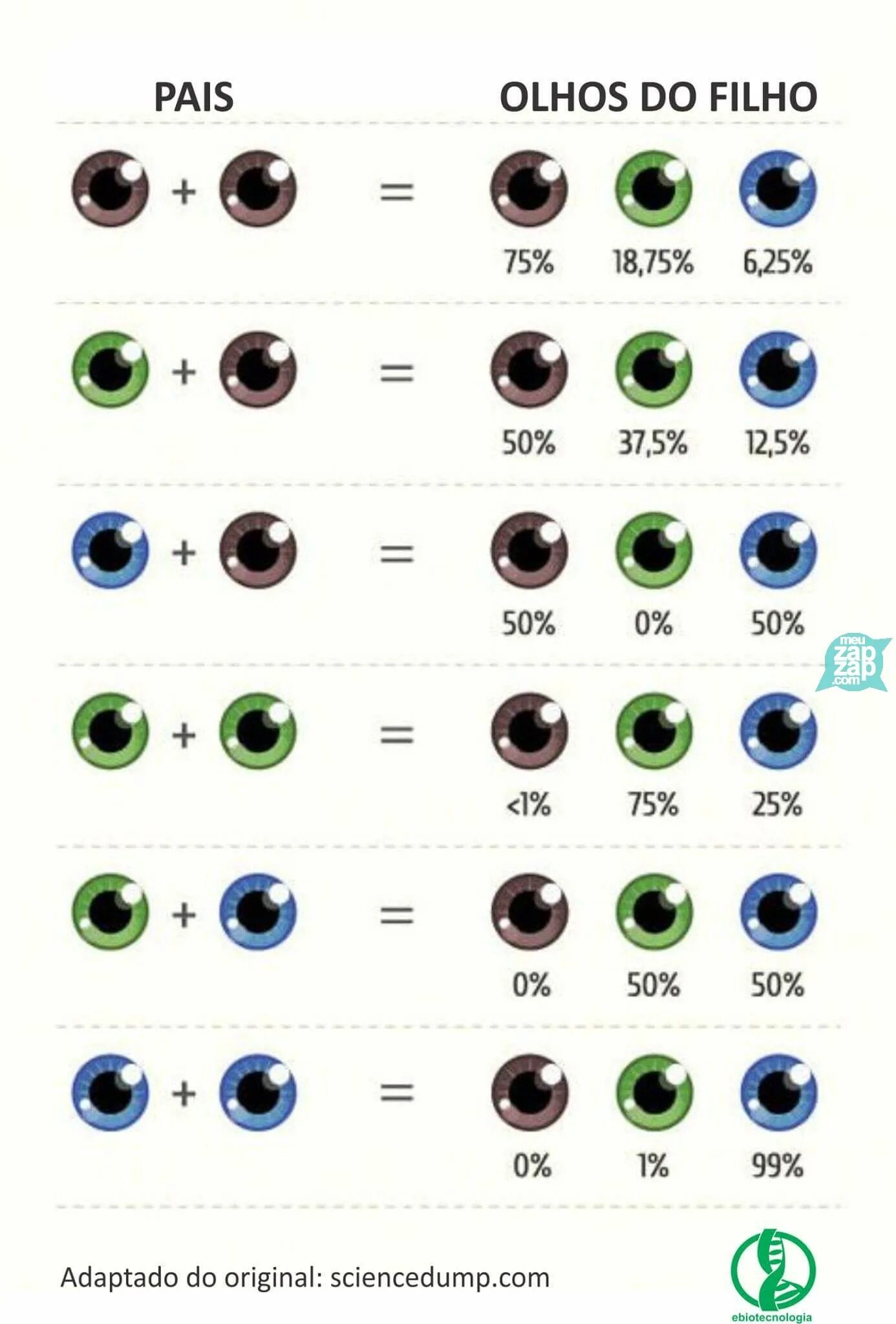 Как узнать какой цвет глаз. Таблица цвета глаз у ребенка. Цвет глаз. Схема цвета глаз родителей и детей. Наследование цвета глаз.