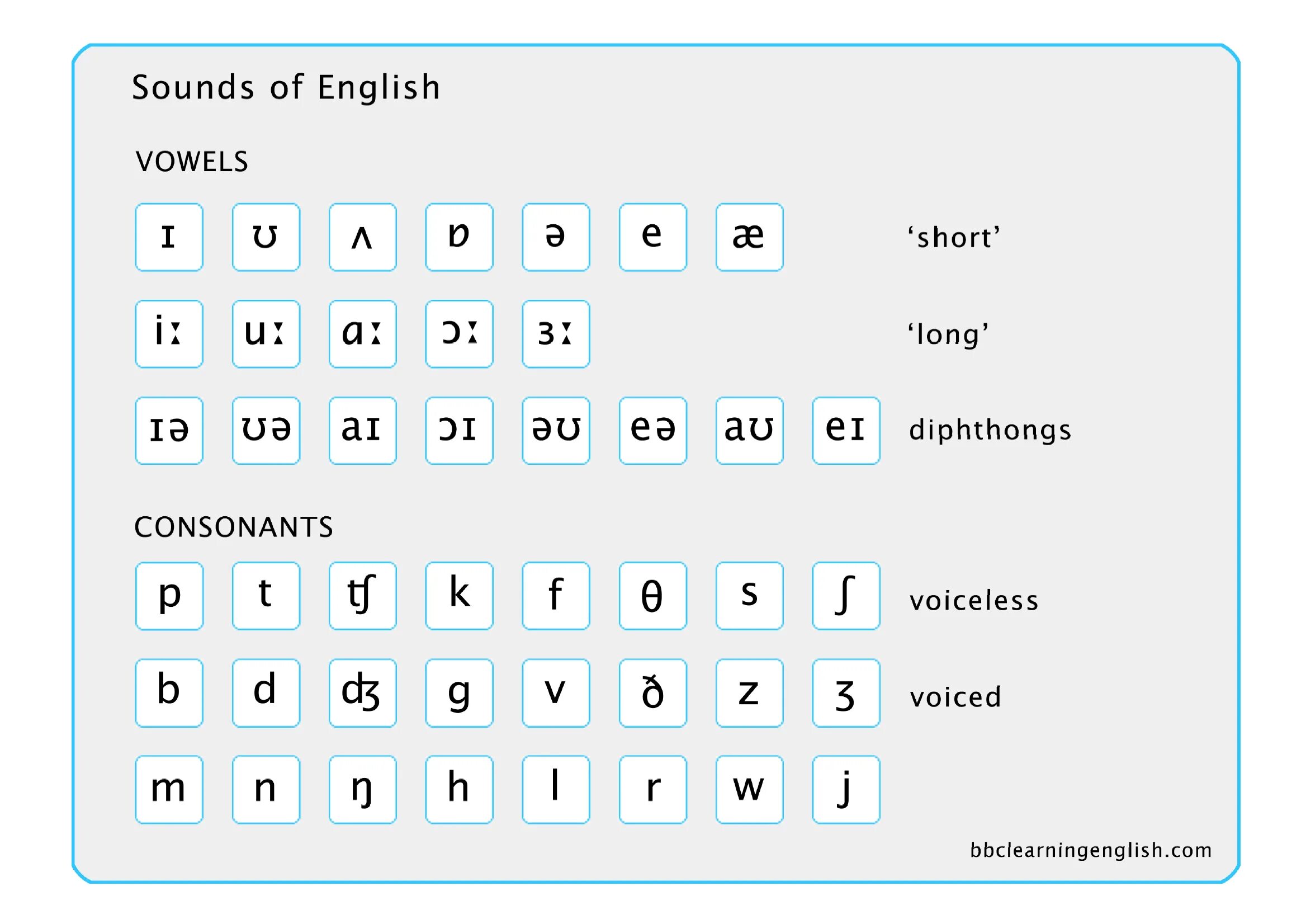 Bang транскрипция. Sounds of English Transcription таблица. Consonants and Vowels в английском языке. Таблица consonants and Vowels. Звуки транскрипции в английском языке таблица.