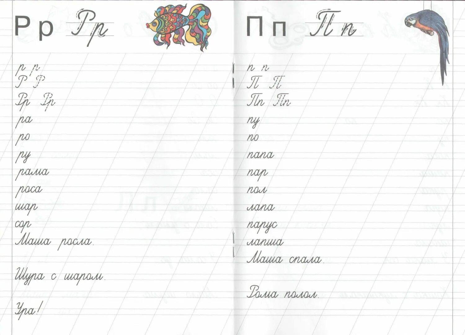 Прописи буква р прописная. Прописи р 1 класс. Строчная буква р пропись. Письмо буквы р. Прописи р 1 класс.