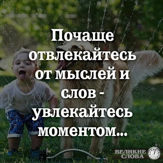 Увлекайтесь моментами. Почаще отвлекайтесь от мыслей увлекайтесь моментом. Почаще отвлекайтесь от. Отвлекайтесь от мыслей увлекайтесь моментами Автор. Отвлекайтесь от мыслей увлекайтесь моментами картинки.