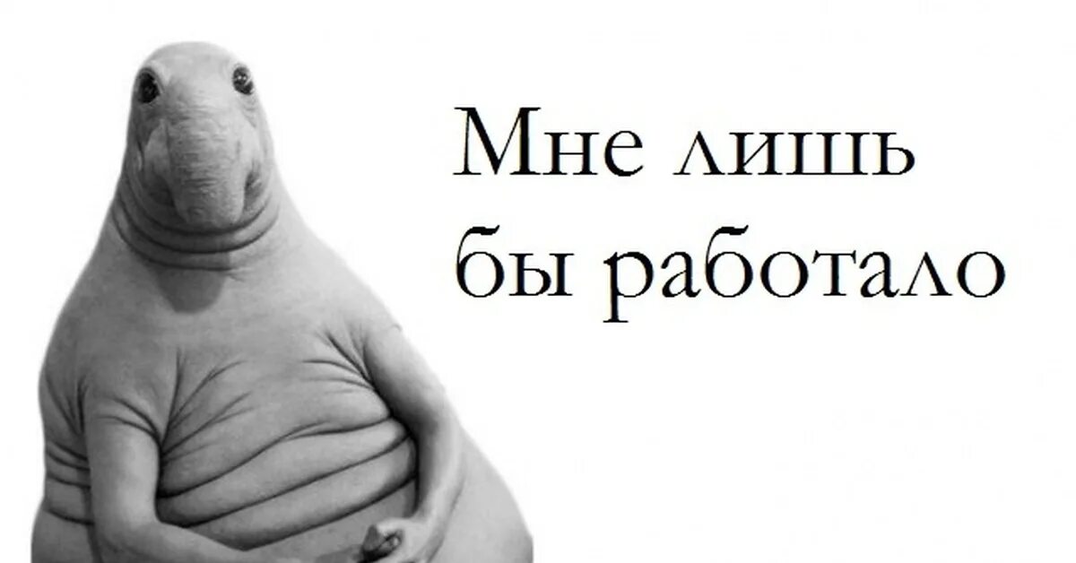 Нажимай там. Кнопка жми. Я что-то нажала и все. Я стото нажала и усе исчезло. Нажимай там.