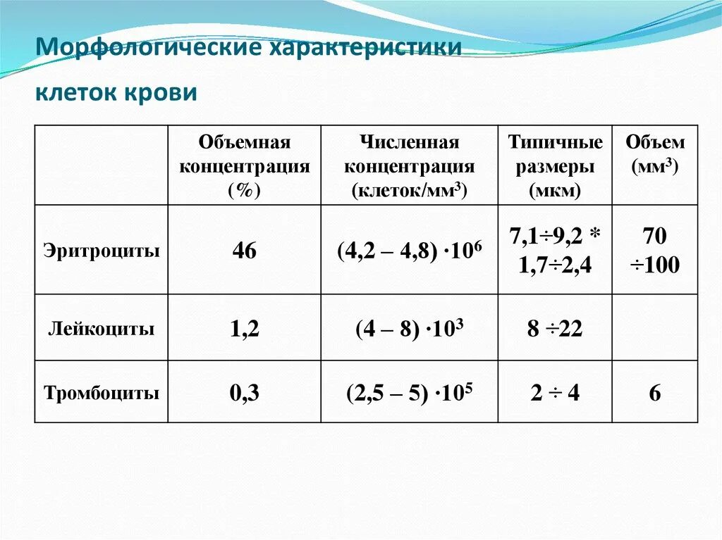 Охарактеризуйте форменные элементы крови эритроциты. Форменная характеристика клеток крови. Диаметр клеток крови. Основные характеристики клеток крови таблица. Величина лейкоцитов человека