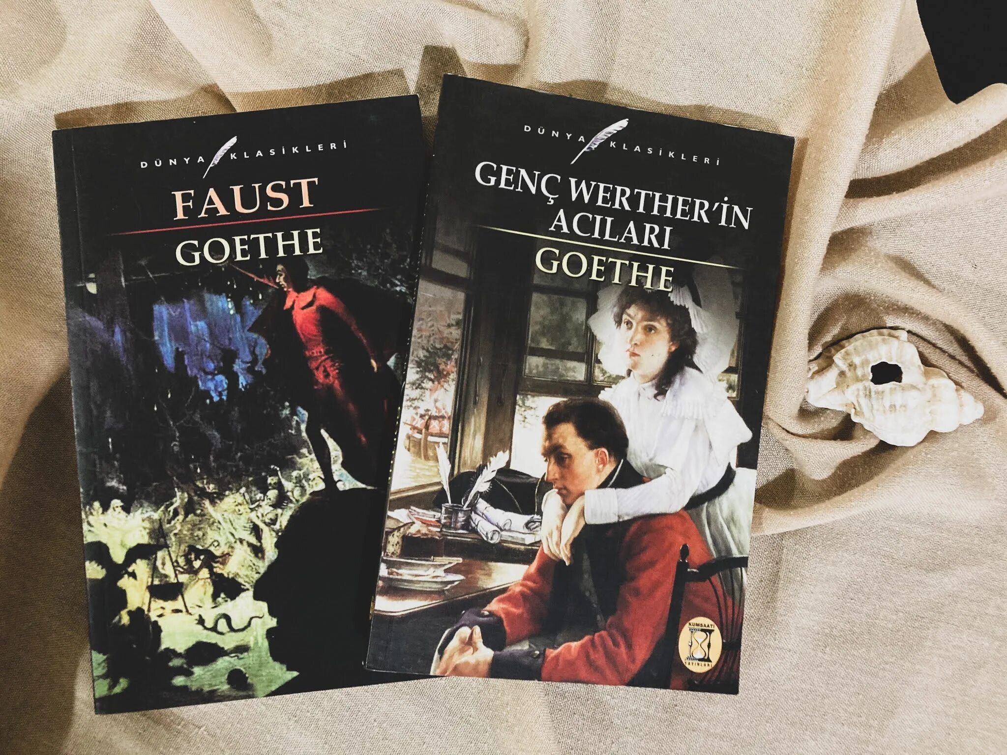 Гете фауст сообщение. Фауст книга. и.в. гёте &quot;фауст&quot;. genc wertherin acilari goethe. фауст иоганн вольфганг фон гёте книга.