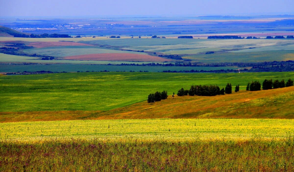 газон из искусственной травы. равнинный алтай укрыт травяным ковром чередующимся. холмистая равнина алтайского края. цветущая тундра якутии. зеленые холмы горный алтай.