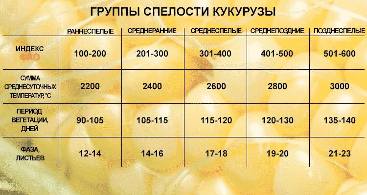 Фао кукурузы. Фао кукурузы таблица. фао кукурузы расшифровка. фао кукурузы дни. сумма активных температур для кукурузы.