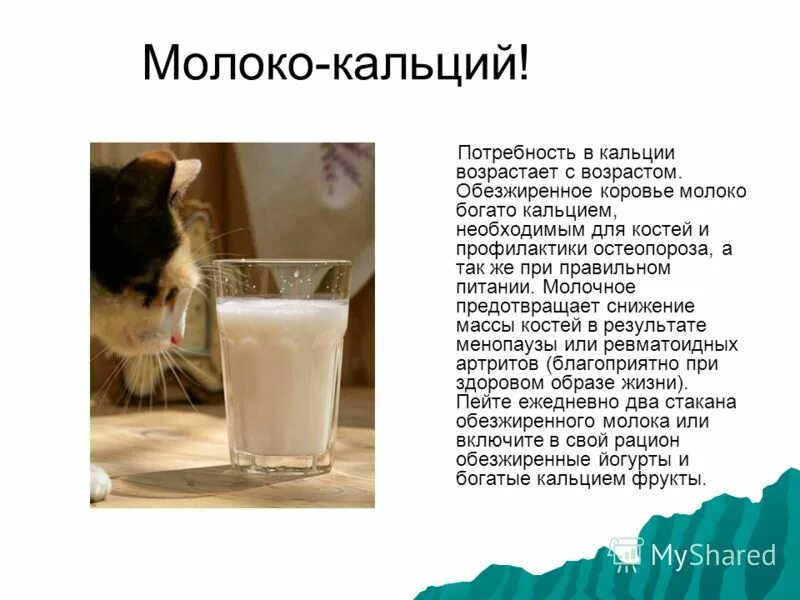 Можно щенку давать коровье молоко. Для вскармливания щенков. Молоко с собачкой. Бутылочки для новорожденных щенков. Собачье молоко.