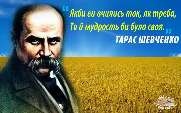 Шевченко стих про украину. Шевченко украинский писатель. Шевченко об Украине.