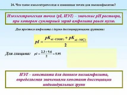 Методы определения изоэлектрической точки растворов биополимеров