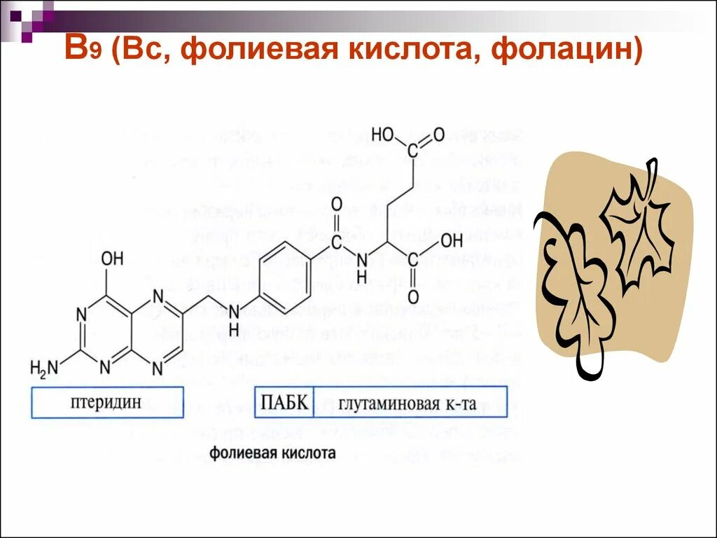 Фолиевая кислота с чем нельзя. Фолиевая кислота витамин в9. Витамин в9 фолиевая кислота (фолацин) функции. Дефицит фолиевой кислоты. Фолиевая кислота презентация.