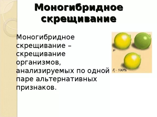 Моногибридным является скрещивание. Моногибридное скрещивание. Моногибридное это в биологии. Моногибридное скрещивание примеры. Типы моногибридного скрещивания.