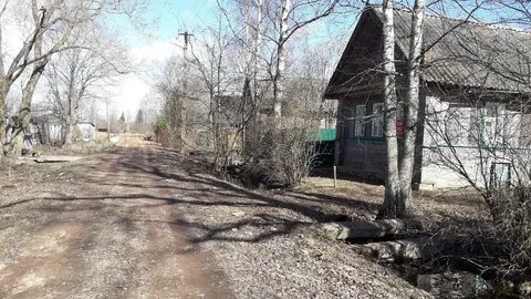 Прогноз сольцы