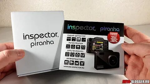 Inspector piranha
