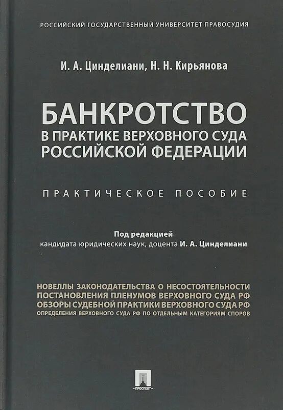 Практика вс рф 2020. Цинделиани Имеда. Цинделиани РГУП. Цинделиани Имеда Анатольевич РГУП. Цинделиани Имеда Анатольевич биография.