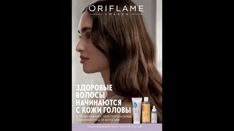 Каталог 6 2023