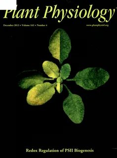Plant physiology