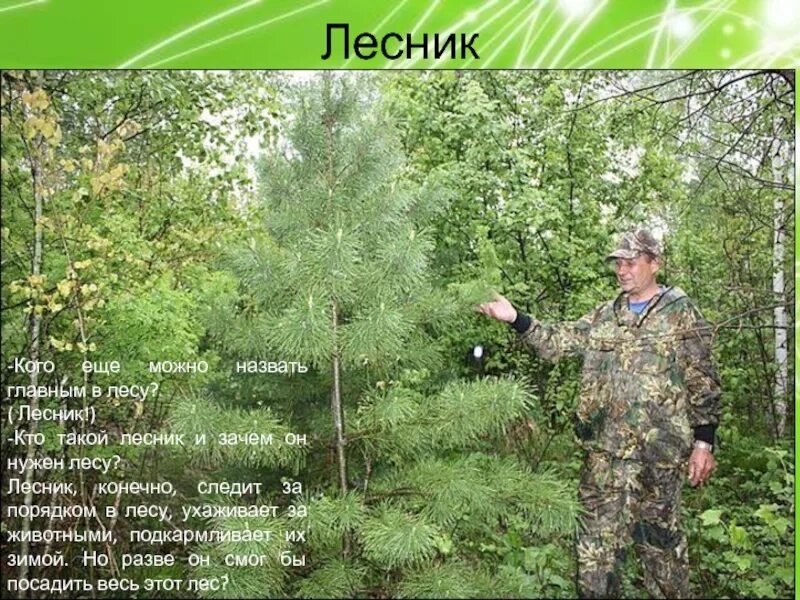 Лесник профессия. Полурядинки село. Село лесоводы. Как называют молодые деревца лесоводы. Роберт лесник.