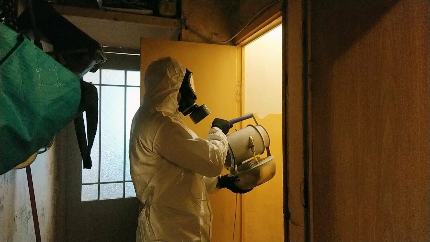 Горячий туман от клопов. Обработка холодным туманом. Дезинсекция тараканов туманом. Дезинсектор холодный туман. Уничтожение клопов.