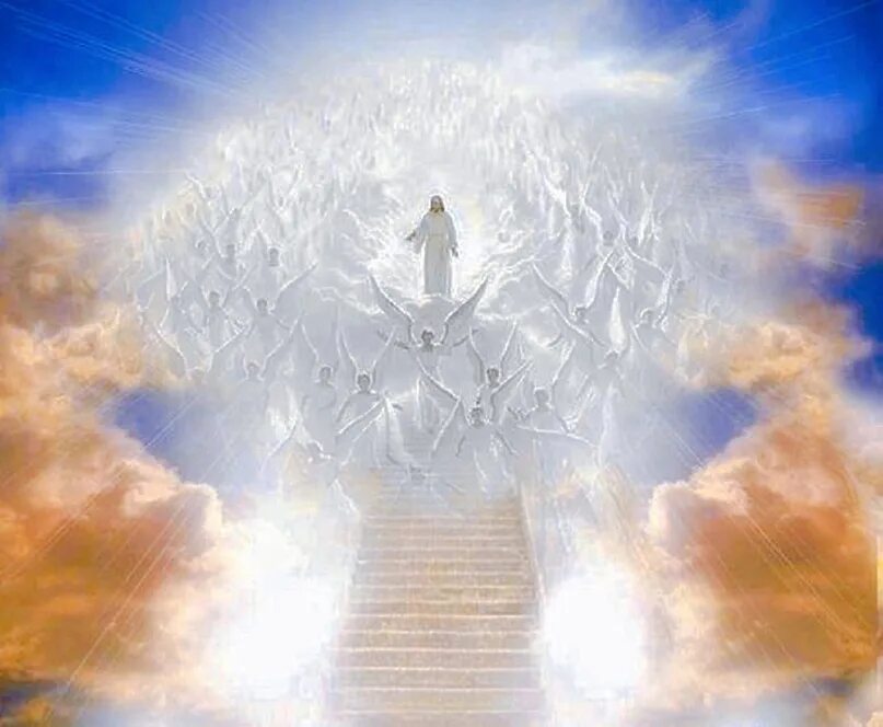 Angel is coming. Angel is coming. Девушка - ангел. Феникс 003. Angel is coming.