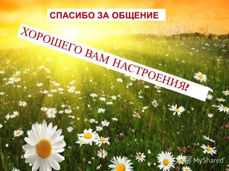 Спасибо провели. Спасибо за приятное общение. Благодарю за общение. Открытки спасибо за общение. Открытки спасибо за приятное общение.