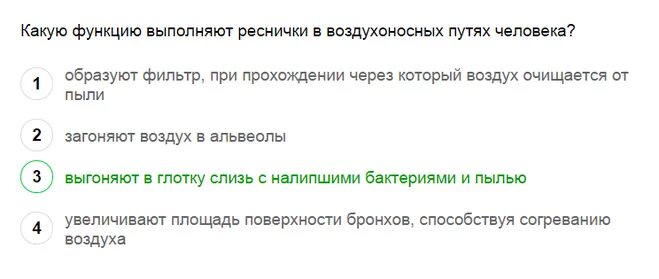 Доклад по окружающему миру 3 класс глаза орган зрения. Защитные приспособления глаза. Какую функцию выполняют ресницы. Какую функцию выполняют ресницы. Структура ресницы.