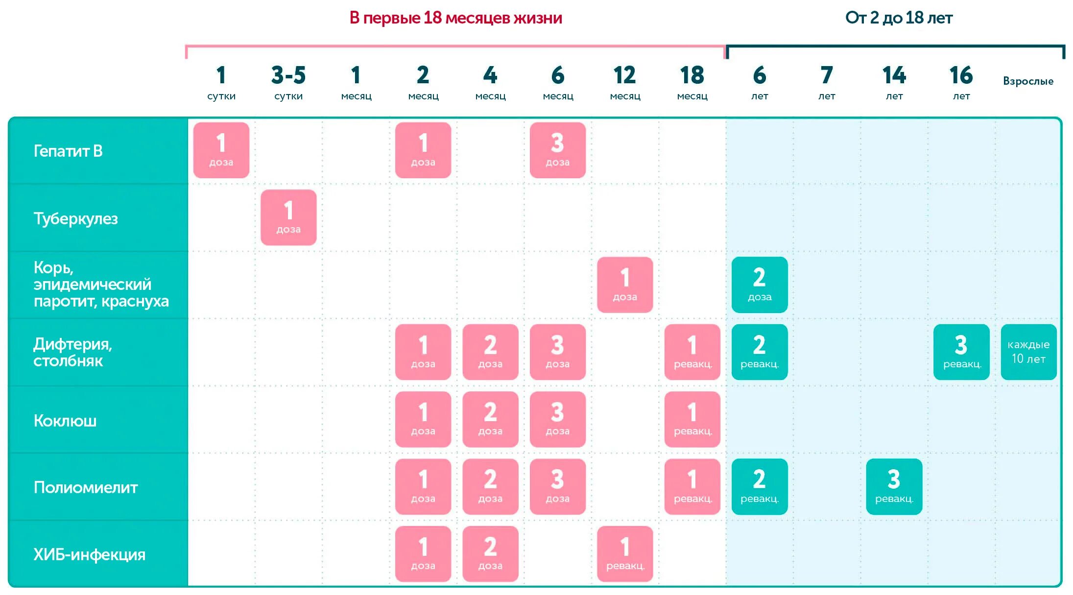 Календарь вакцинации. Календарь прививок. Календарь прививок для детей. Национальный календарь прививок для детей. Прививочный календарь 2024