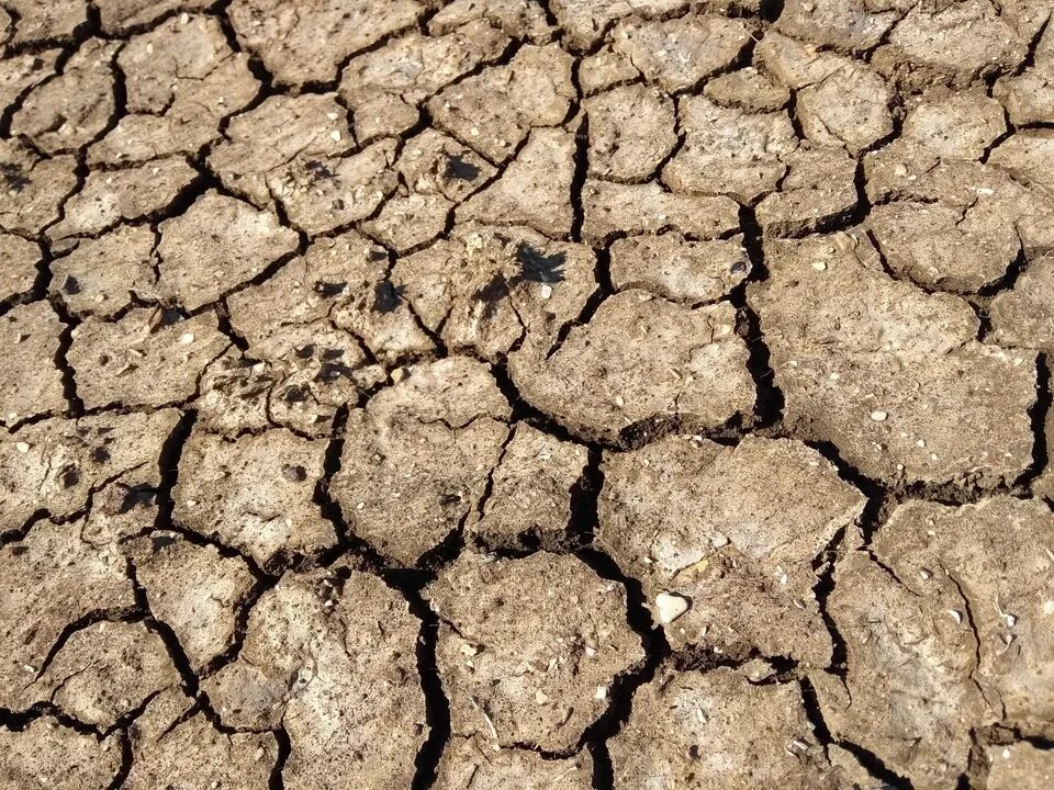 Засуха. Осенняя засуха. Засуха 2020. Засуха в Крыму 2020.