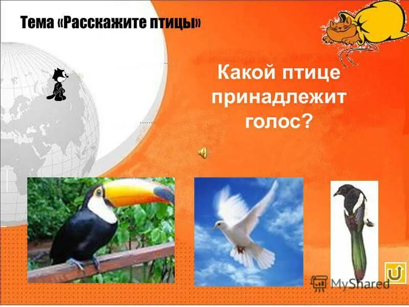 Птица стремящаяся ввысь. Фото расскажите птицы. Расскажите птицы история. Расскажите птицы история. Анкетирование птицы.