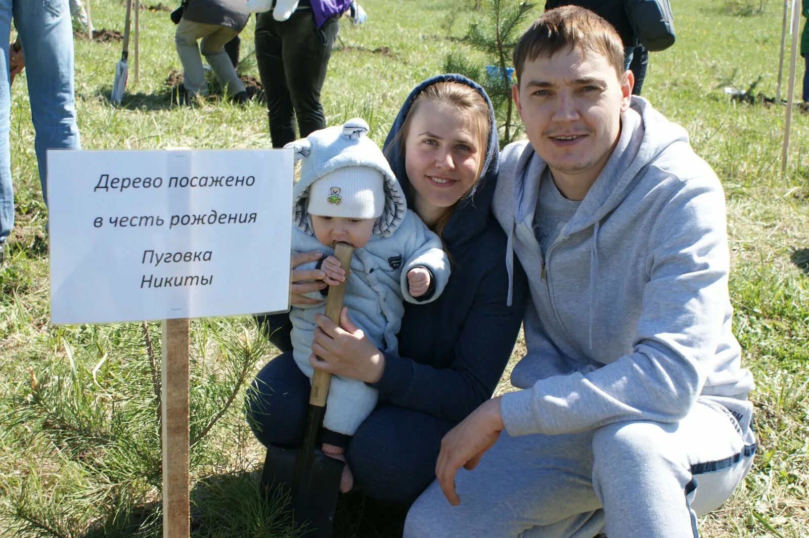 Сына родить дерево. Дерево в честь рождения ребенка. Дерево посажено в честь. Дерево посаженное в честь ребенка. Высадка дерева в честь рождения ребенка.