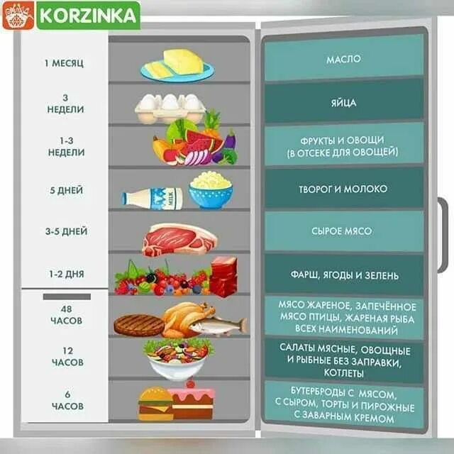 Сколько можно хранить в холодильнике. Сроки хранения продуктов в холодильнике. срок хранения мяса в холодильнике. сколько можно хранить мясо в холодильнике. хранение жареного мяса в холодильнике.