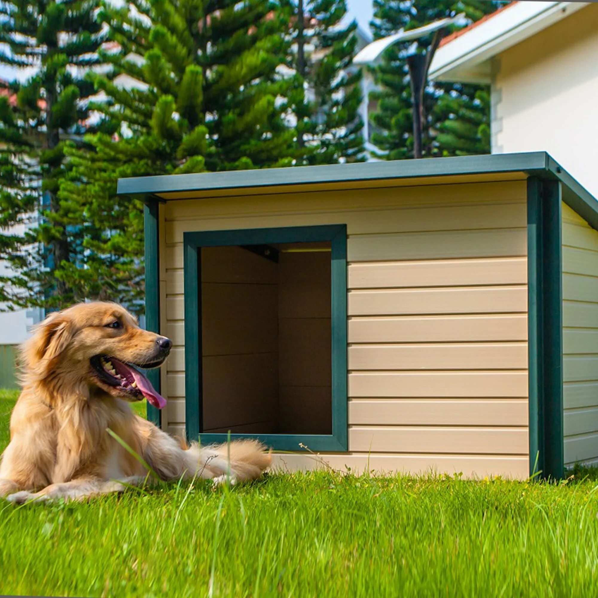 Дог хаус дайс демо dog houses info. Собачья конура будка. Конура для 3 собак. Будка Doghouse. Леонбергер у будки.