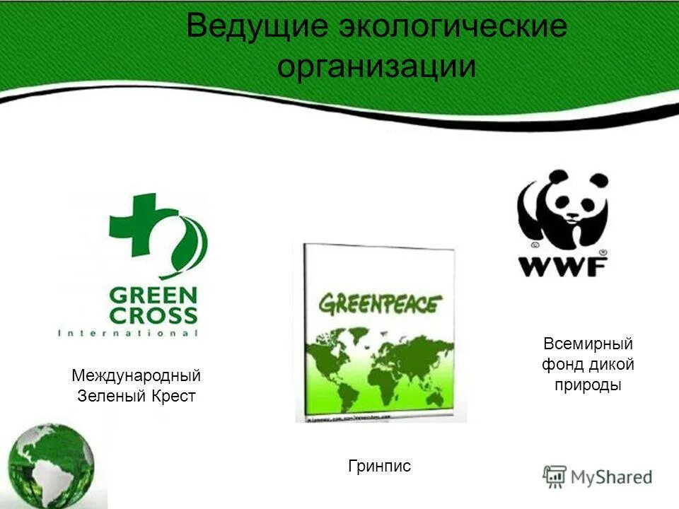 Работе международных экологических