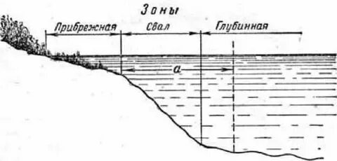 Зона лова рыбы