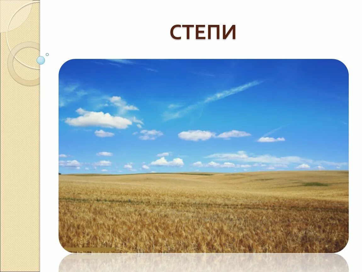 Степь тетрадь. Степь природная зона. степь для детей. степи юга россии. изображение степи.