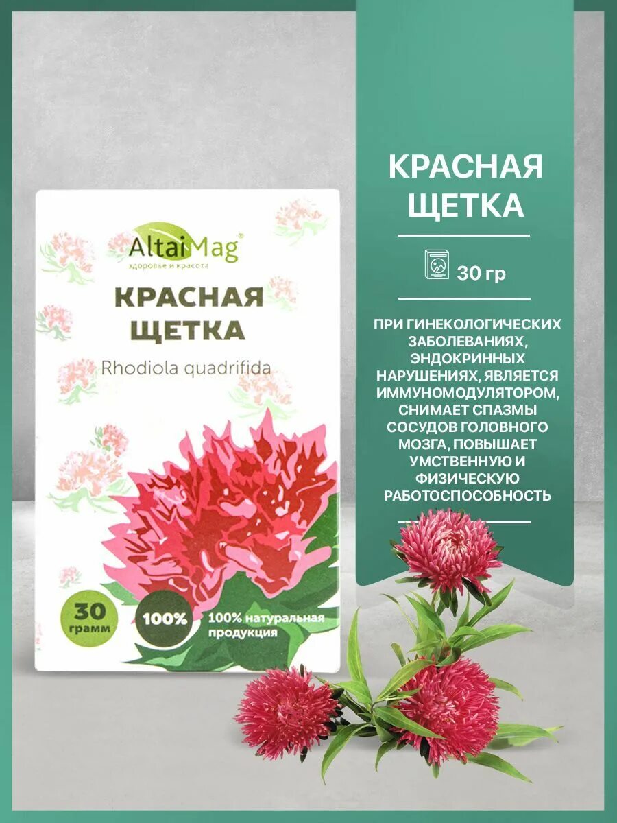 Красная щетка АЛТАЙМАГ 30г. Красная щетка, 30 гр.. Красная щетка 'АЛТАЙМАГ' 30г (6060). Красная щетка фиточай 30г. Красная щетка купить в аптеке