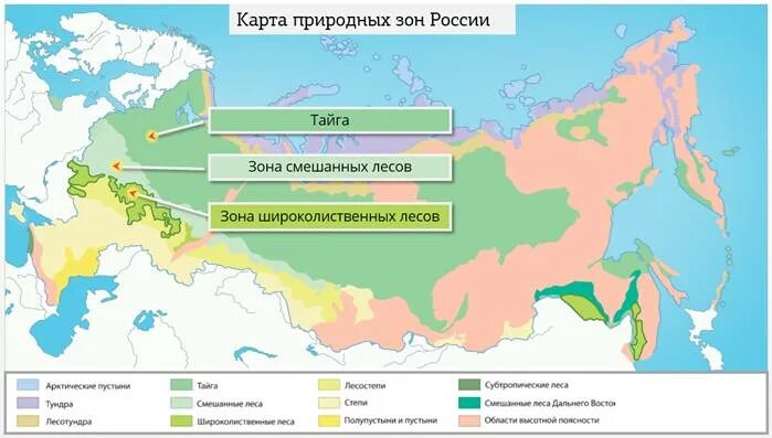 Зонах лежит территория россии. Зона смешанных и широколиственных лесов на карте России. Смешанные и широколиственные леса на карте России. Карта природных зон России широколиственные леса. Зона тайги смешанных и широколиственных лесов на карте.