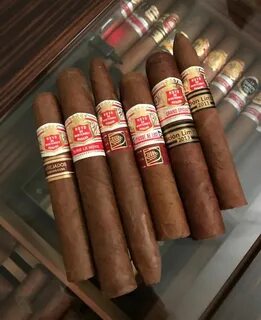 Puro cigar
