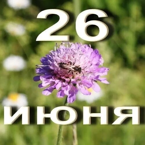 20 июнь 26 июнь