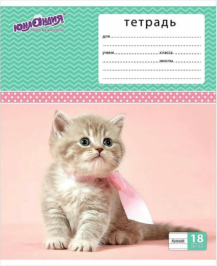 Коты аристократы. Котики в линию 5 класс 2024 ответы. Тетрадь 18 л. Проф-пресс котенок. Котик на картоне.