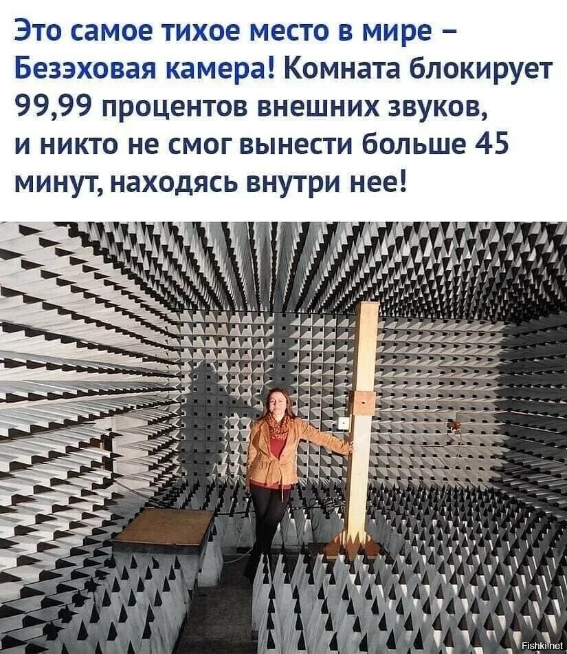 Клятвы данные в бурю забываются. Зимние цитаты. Клятвы данные в бурю забываются. Самая тихая погода. Сухая тихая погода стих.