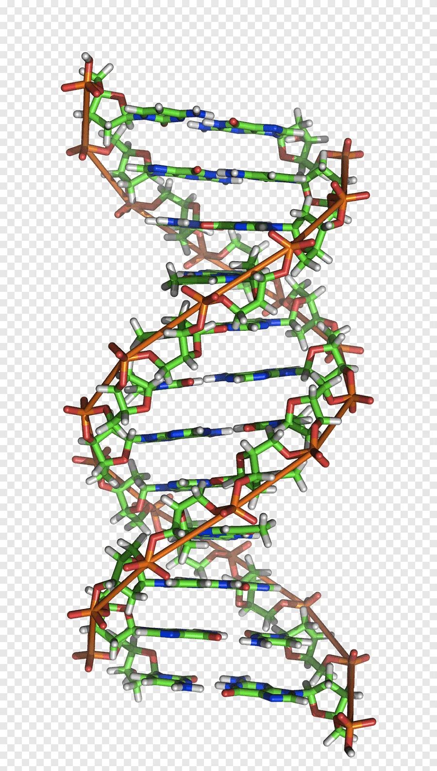 Геномные рнк. Спираль ДНК И РНК. Двойная спираль РНК. Молекула ДНК. Генетическая спираль ДНК.