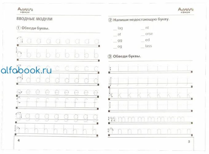 Английский в фокусе 2 класс 3 модуль. Сборник упражнений по английскому 2 класс в фокусе. Английский язык 2 класс сборник упражнений. Английский в фокусе 2 класс сборник упражнений тема животные. Английский в фокусе 2 класс сборник упражнений с 48.