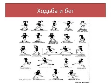 Виды гимнастической ходьбы