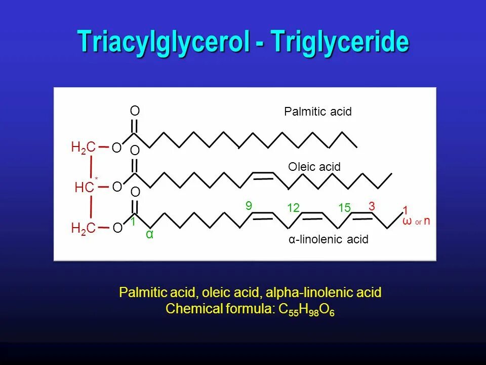 Триглицериды д. Триглицерид структура. триглицериды. triacylglycerol. молекула триглицерида.
