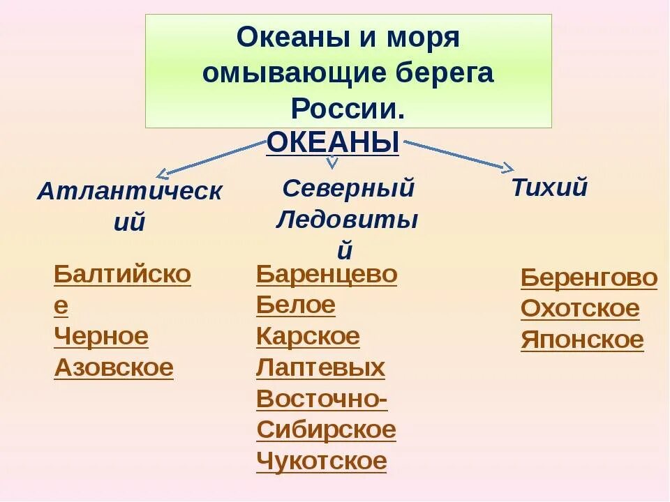 Океан в россии где. Моря омывающие Россию. Сколько морей омывают берега России. Какие моря омывают Россию. Моря России список.