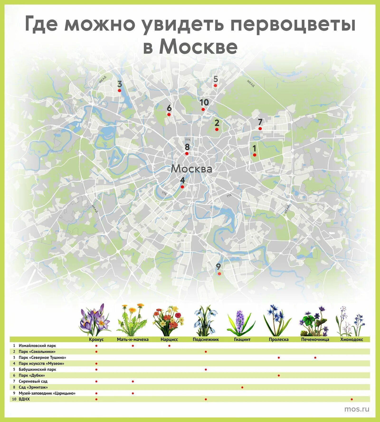 Где находится крокус в подмосковье. Первоцветы на ВДНХ. Парк Сокольники подснежники. Крокус парк. Первые весенние цветы в Московском регионе.