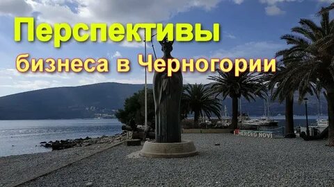 Бизнес черногории
