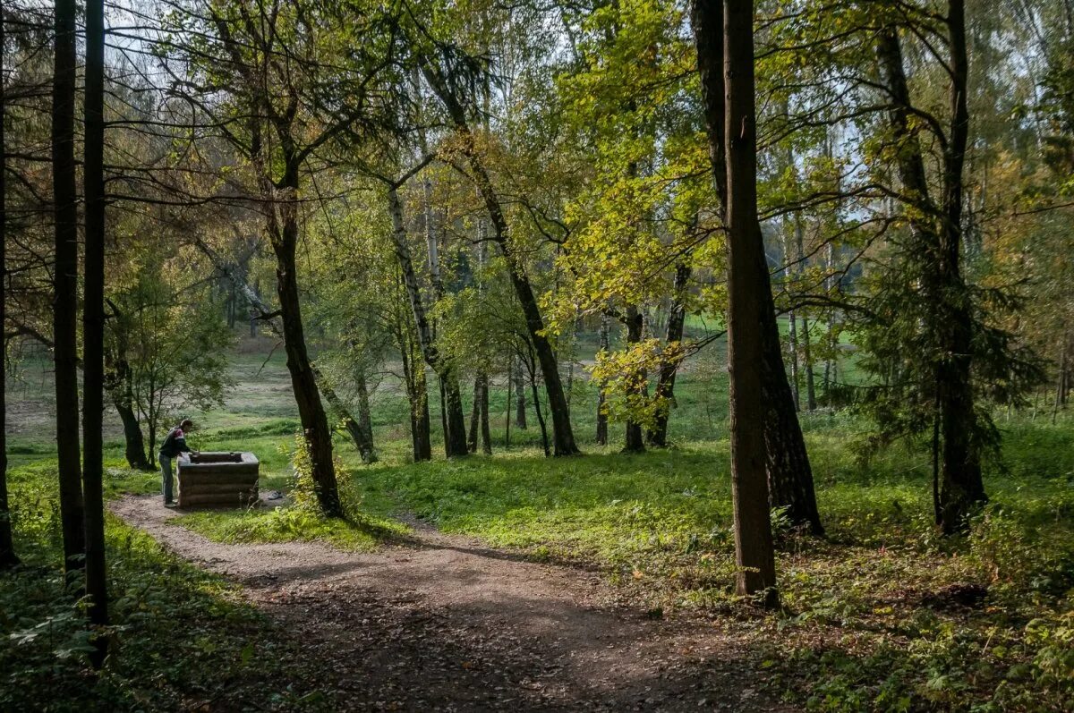 Ясная поляна поляна тула. Чепыж ясная поляна. Чепыж в ясной поляне. Музей ясная поляна нижний парк. Дуб ясная поляна.