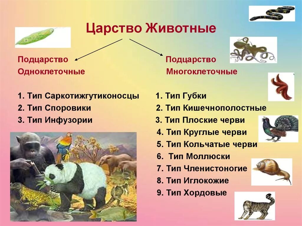 Какими признаками животного обладают животные