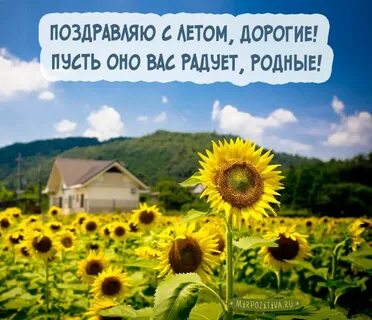 Лето короткая жизнь