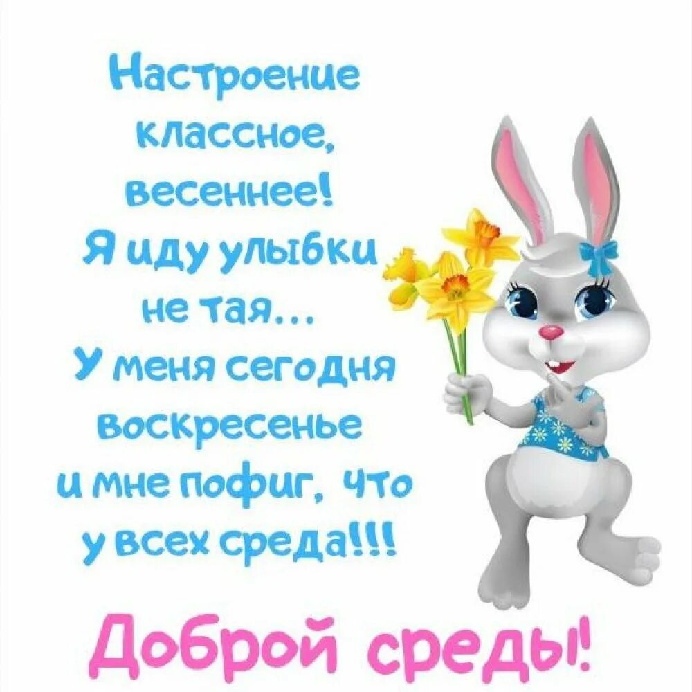 Доброе утро среда пришла неделя прошла. Поздравление со средой. открытки со средой прикольные. открытки с добрым утром среды. поздравления со средой в картинках прикольные.